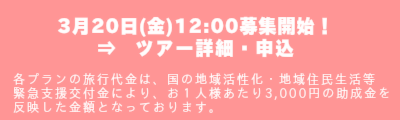ツアー詳細・申込