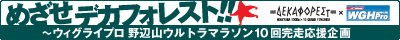 ウィグライプロ 野辺山ウルトラマラソン10回完走応援企画「めざせ、デカフォレスト！！」