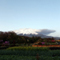 脇坂 雅志「朝靄の富士山」