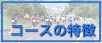 コースの特徴