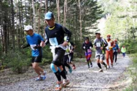 ポイントⅠ：林道コース