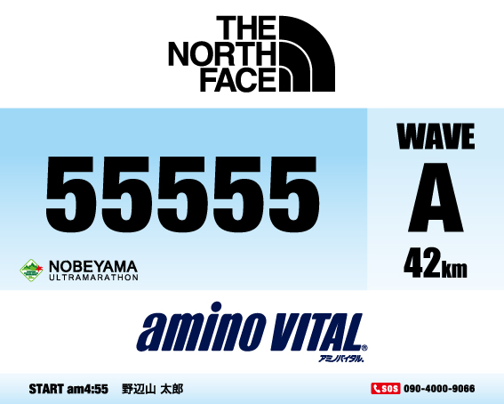 42km WAVE A ナンバーカード