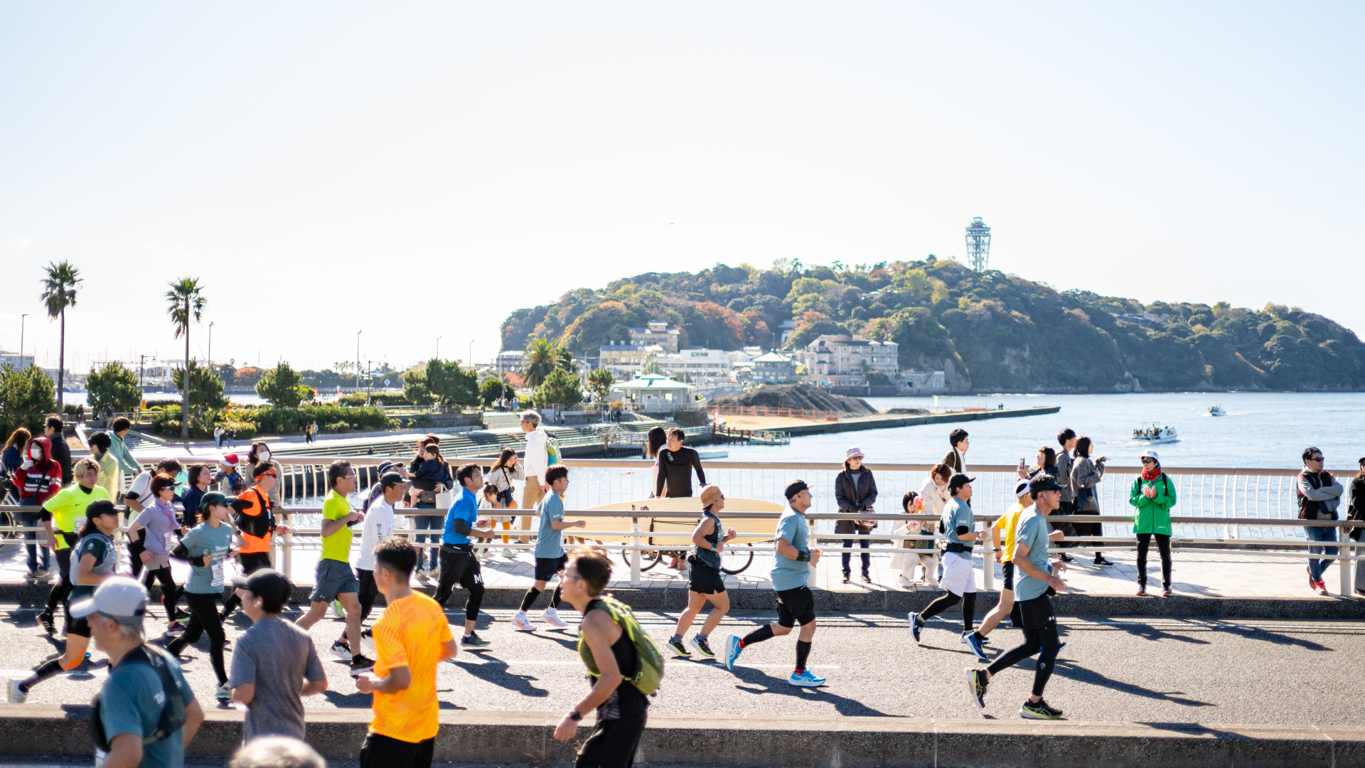 ランナーズ・ウェルネスのサービス領域
