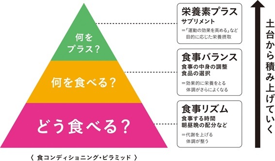 食コンディショニング・ピラミッド
